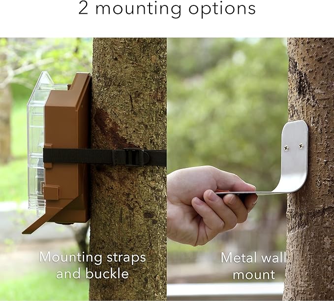 Wasserstein Bird Feeder Camera Case Compatible with Blink, Wyze & Ring Security Cameras Including Blink Outdoor 4, Wyze Cam OG & Ring Stick Up Camera (Camera NOT Included)