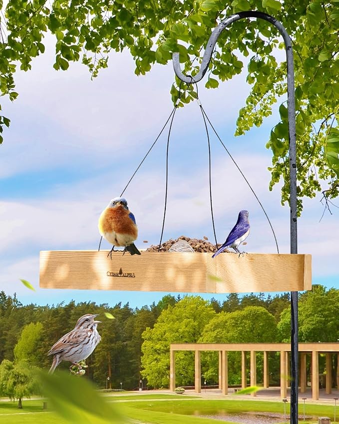 Wood Platform Tray Bird Feeder 10” - Alaskan Red Cedar Hanging Bird Feeder for Outside Outdoor - Stainless Steel Cable Mesh Base - Longtime Outdoor Lasting Weatherable Heavy Duty Flythrough Birdfeeder