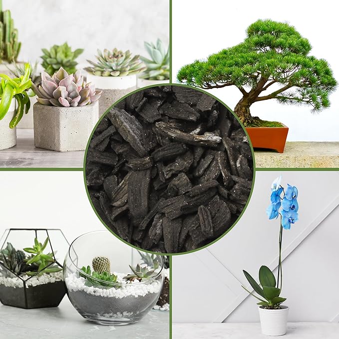Horticultural Charcoal for Indoor Plants (12 Quarts), Hardwood Soil Additive for Orchids, Terrariums, and Gardening