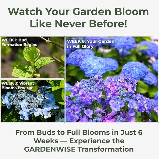 Slow Release Hydrangea Fertilizer with Iron & Sulfur β Indoor & Outdoor Soil Acidifier for Miracle Growth (2 qt)