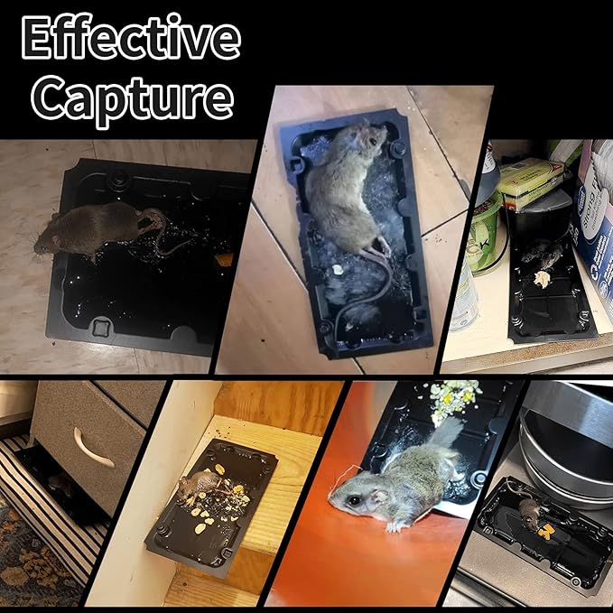 10 Pack Sticky Mouse Trap Rat Traps Indoor, Peanut Taste Pheromone Mouse Traps Indoor for Home