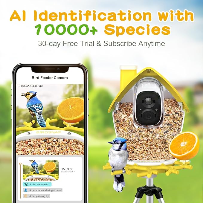 birdsnap® MON - Bird Feeder with Camera, 2K Detachable Video Bird Feeder Live with 32GB Card Fruit Fork, AI Identify Feather Species, Auto Record in Backyard, Ideal Gift for Birds Lover