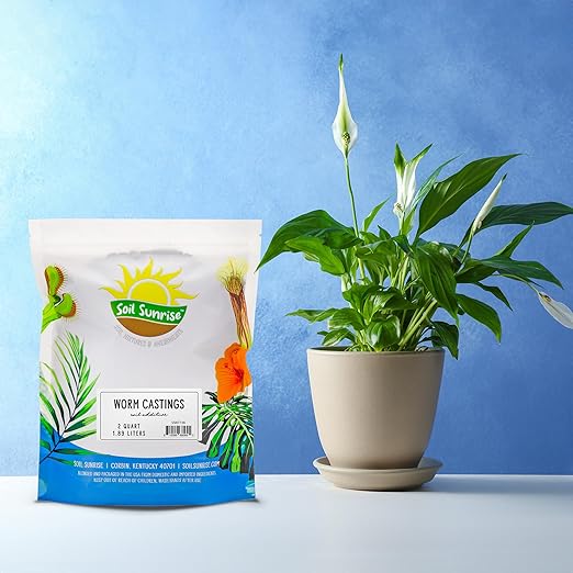 Premium Organic Worm Castings (2 Pounds); 2QT All Natural Soil Additive, Soil Builder, and Fertilizer