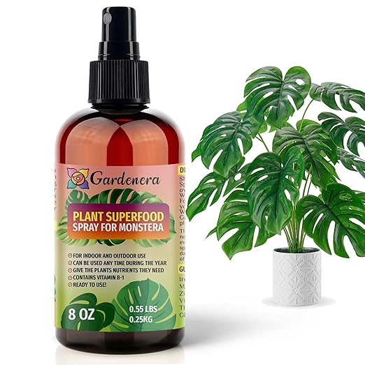 ππππππππππ Plant Superfood for Monstera Plants with B1 Vitamin, Glucose and Essential Minerals - Organic Plant Food Fertilizer for Indoor & Outdoor Monstera Plant Care - 8oz
