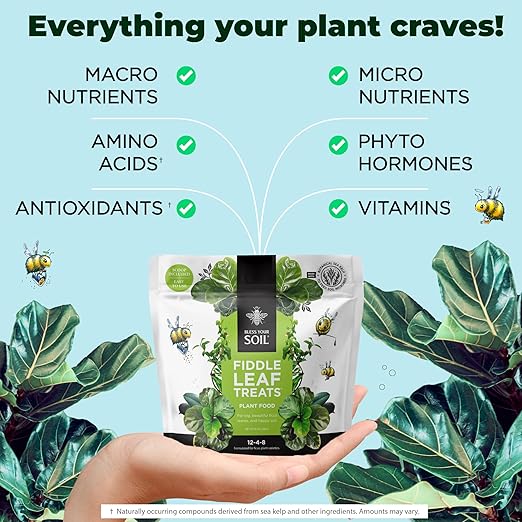 Fiddle Leaf Fig Plant Food - Fiddle Leaf Treats | Urea-Free Fertilizer | Fast Acting for Bigger Leaves and Stress Tolerance, 4X More Concentrated Than Liquid Plant Food | for All Ficus Plants
