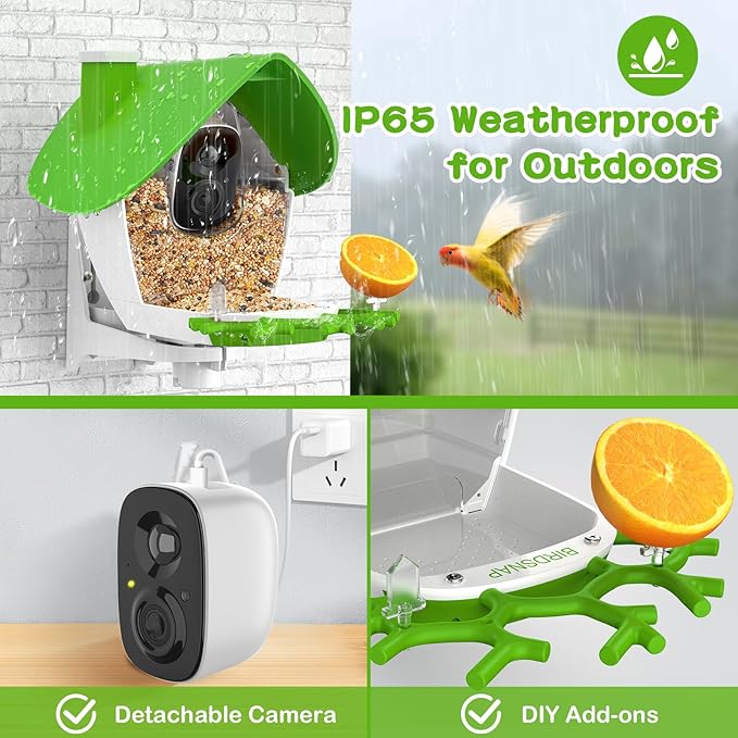 birdsnap® MON - Bird Feeder with Camera, 2K Detachable Video Bird Feeder Live with 32GB Card Fruit Fork, AI Identify Feather Species, Auto Record in Backyard, Ideal Gift for Birds Lover