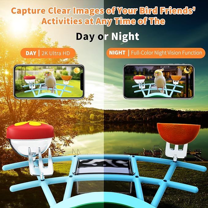 2025 New Smart Bird Feeder with Camera, 2.4GHz WiFi Solar Bird Feeder - 2K HD Live Video Camera AI Identify Birds, Instant Arrival Alerts, Birds Lover Gifts