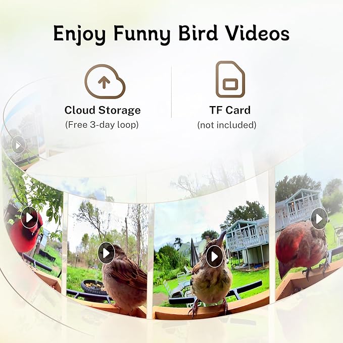 TT Nature Bird Feeder with Camera, Upgraded 1.5L Smart Birdhouse Al Identify for 10000 Plus Species, Auto Capture & Real-time Notifications, Ideal Gift for Bird Lovers (Iron Roof)