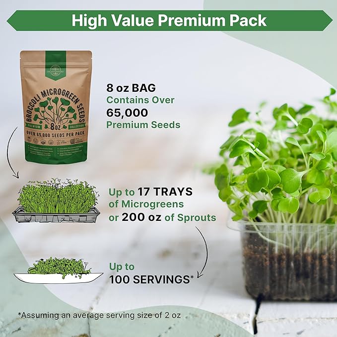 Organo Republic Broccoli Sprouting & Microgreens Seeds - 65,000 Non-GMO Heirloom Seeds, Sprouts in Bulk 8oz Resealable Bag for Planting & Growing in Soil, Coconut Coir, Aeroponic & Hydroponic System