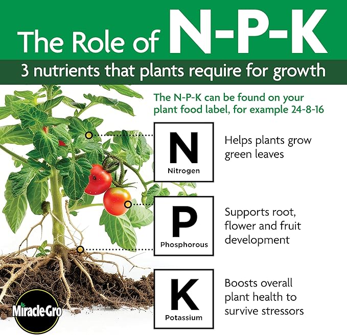 Miracle-Gro Ready to Use Orchid Plant Food Mist, Feeds All Types of Indoor Orchid Plants, 8 oz.