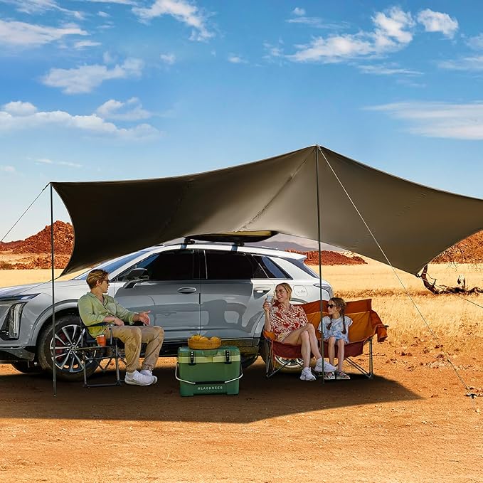 TIMBER RIDGE 19x9.8ft Retractable Vehicle Awning with Blackout Coating Roof Rack Pull-Out Sun Shade Overland Camping, Waterproof Sun Shelter for Car/Truck/Jeep/SUV/Van Grey