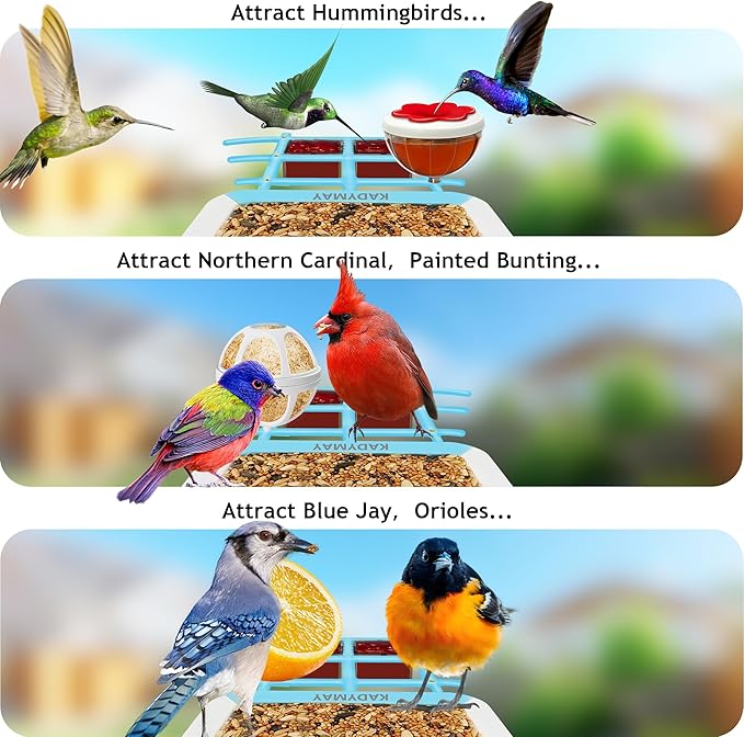 64GB Smart Bird Feeder with Camera Solar Powered, AI Identify 10K+ Bird Aves, 2K 3MP HD Live Video &Playback on Phone, 2.4G WiFi Birdhouse Camera Wireless Outdoor-Watching House (Light Blue)