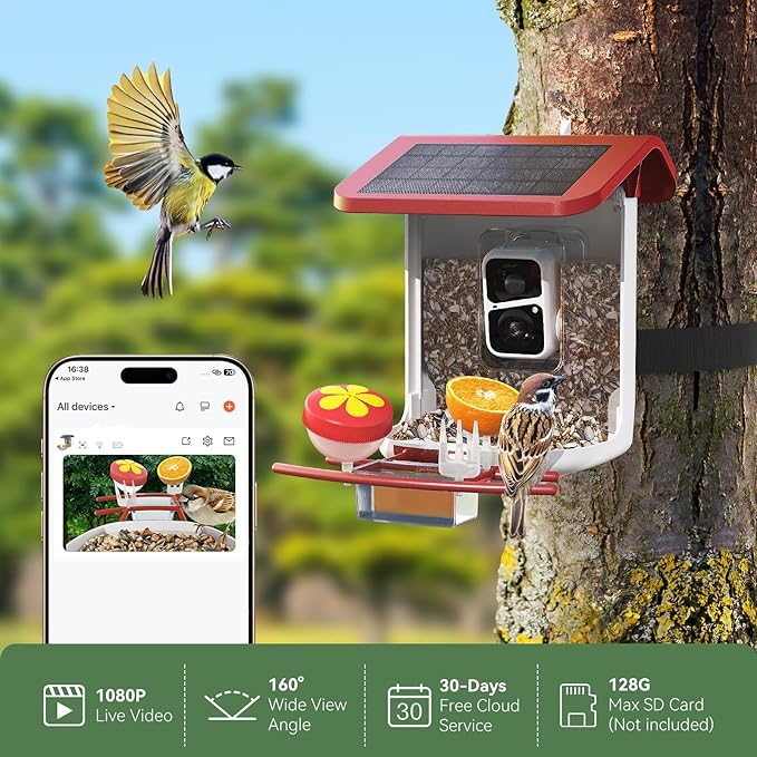 Smart Bird Feeder with Camera, Solar Bird Feeder - 2K HD Live Video Camera AI Identify Birds, Visible Window Auto Capture -Instant Arrival Alerts, Birds Lover Gifts