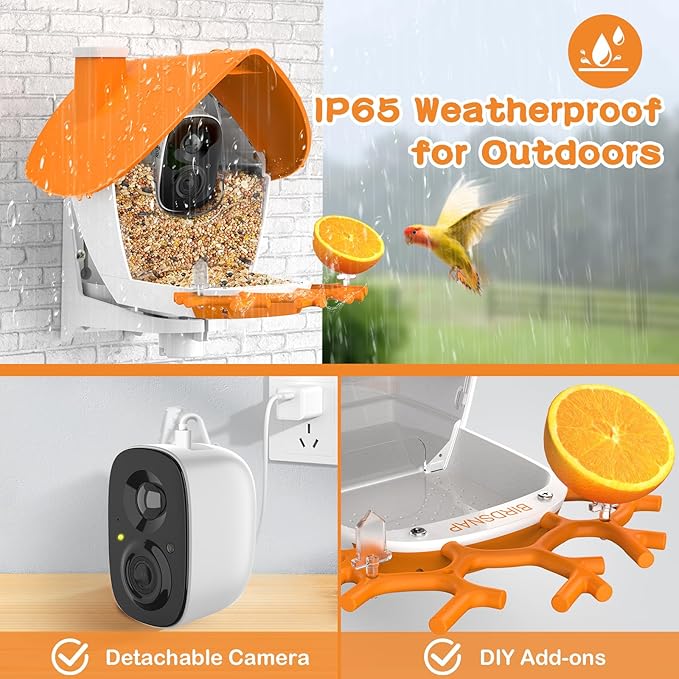 birdsnap® MON - Bird Feeder with Camera, 2K Detachable Video Bird Feeder Live with 32GB Card Fruit Fork, AI Identify Feather Species, Auto Record in Backyard, Ideal Gift for Birds Lover