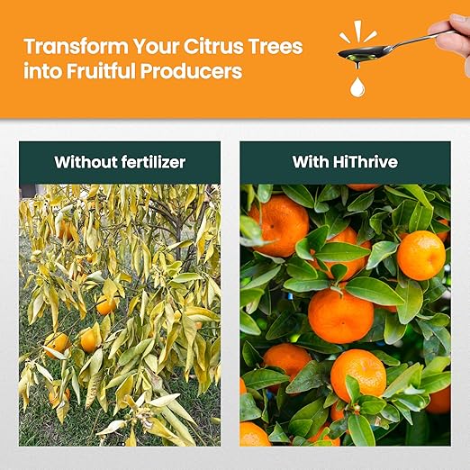 16oz Citrus Fertilizer - Makes 16 Gallons of 2-in-1 Citrus Tree Fertilizer for Lemon Trees Live Plants & More, 4-3-6 NPK Tree Food with Macronutrients + Micronutrients for Growth and Juicy Fruits