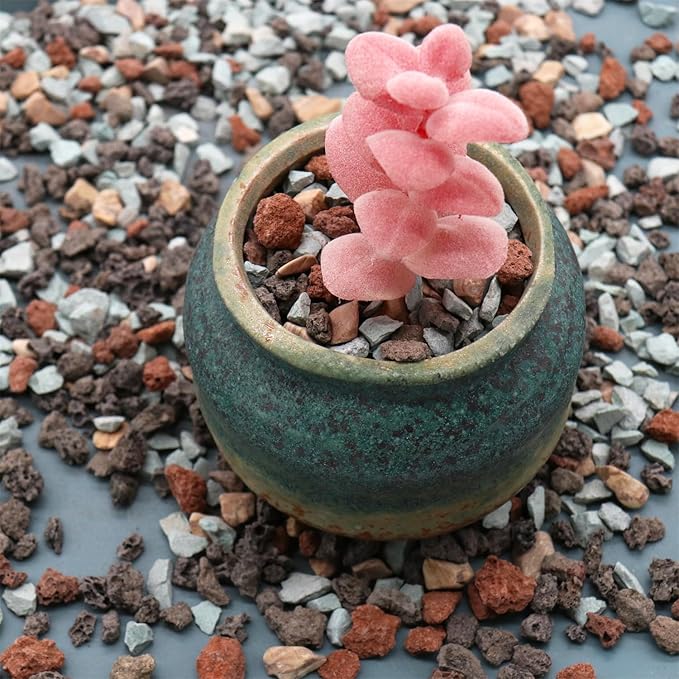 Volcanic Rock for Plants. Gritty Mix. Mixed Color Lava. 1/5 Inch - 2 lbs for Potting Soil, Succulents, Pots, Plants, Gardening (Mini (0.2 Inch), Horticultural - Bonsai Mix, 2)