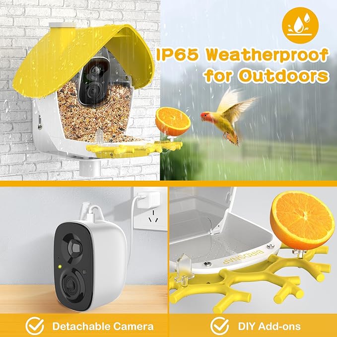 birdsnap® MON - Bird Feeder with Camera, 2K Detachable Video Bird Feeder Live with 32GB Card Fruit Fork, AI Identify Feather Species, Auto Record in Backyard, Ideal Gift for Birds Lover