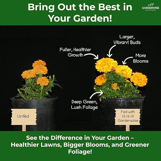 13-13-13 Slow Release Granular Fertilizer β All Purpose Plant Food 13 13 13 for Outdoor Grass, Vegetables, Roses, Flowers, Shrubs, Trees. Lawns, Gardens, Potted Plants (10 quarts)