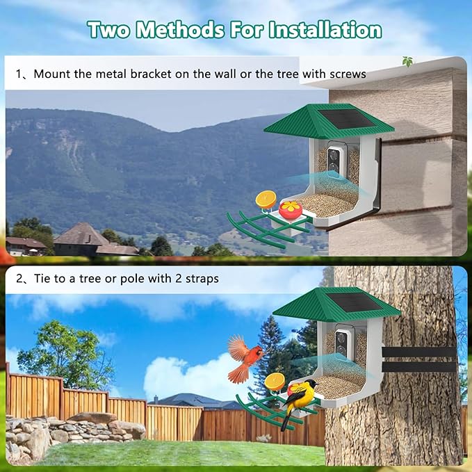 2.5K Smart Bird Feeder with Camera, 5GHz &2.4GHz Birds Watching Camera with AI Identify Bird Species, Outdoor Birds Feeder House with Solar Panel for BirdLovers (Green)
