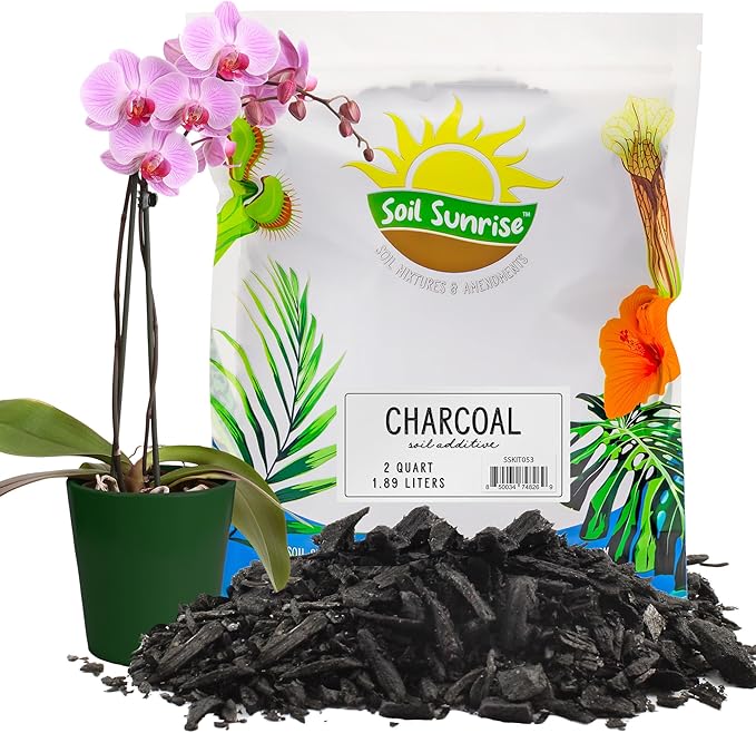 Horticultural Charcoal for Indoor Plants (2 Quarts), Hardwood Soil Additive for Orchids, Terrariums, and Gardening
