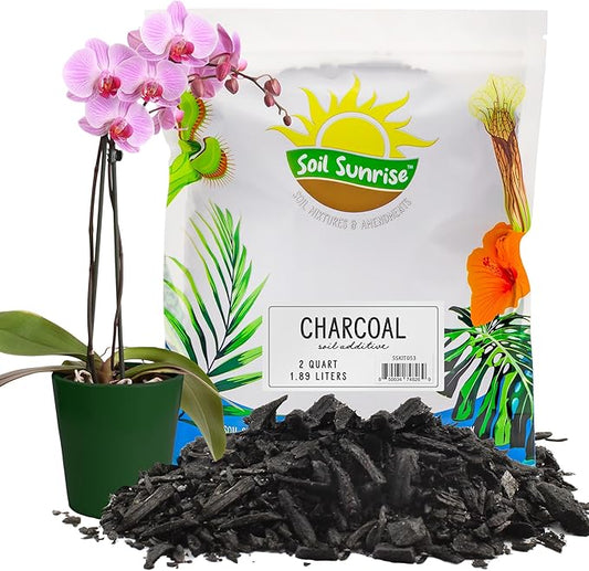 Horticultural Charcoal for Indoor Plants (2 Quarts), Hardwood Soil Additive for Orchids, Terrariums, and Gardening