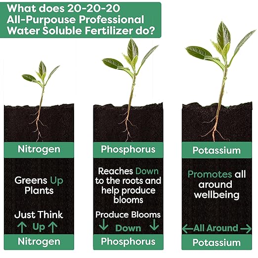 20-20-20 Water-Soluble Fertilizer β Powder for Liquid Plant Food for Indoor & Outdoor Plants, Orchids, Vegetables, Lawns, Flowers β 20 20 20 Fertilizer (10 QUARTS)