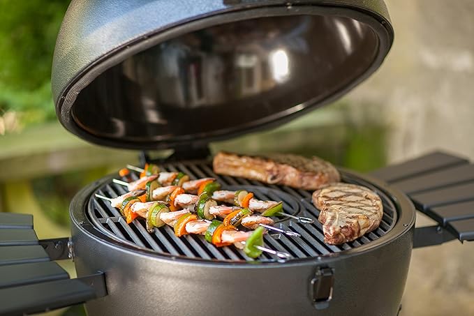Char-Griller Kamado Charcoal Grill, Graphite + Char-Griller Smokin' Ceramic Smoking Stone