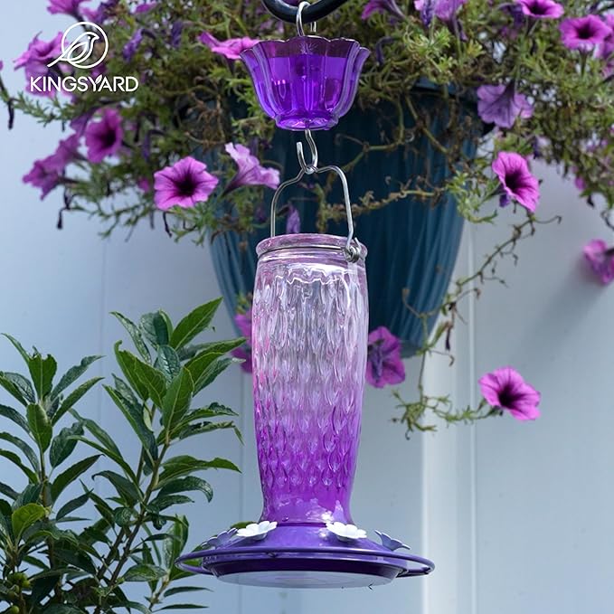 Kingsyard Hummingbird Feeders for Outdoors Hanging, 24 Ounce, Glass Hummingbird Feeder with Ant Moat & 6 Bee Guard Feeding Ports, Leak-Proof, Pink & Purple