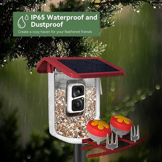 Smart Bird Feeder with Camera, Solar Bird Feeder - 2K HD Live Video Camera AI Identify Birds, Visible Window Auto Capture -Instant Arrival Alerts, Birds Lover Gifts