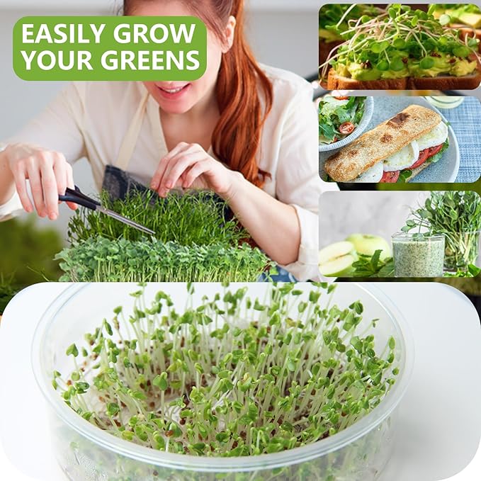 Stackable Seed Sprouter Kit, Microgreens Growing Kit with Drain Holes and Drain Tray, Mini Plant Grow Trays, Fresh Organic Bean Seed Sprouter Tray, Soil-Free Sprouter Tray for Beans Alfalfa Seeds