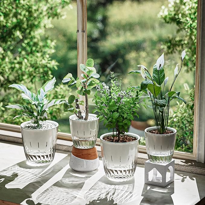 Self Watering Planters - 2 Pack, 6 Inch Transparent Flower Pots for Indoor Plants, Perfect for African Violet, Monstera, Succulents, Herbs & Decorative Flowers