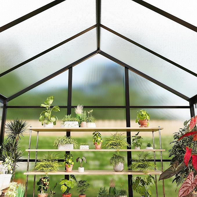 6x8 FT Greenhouse for Outdoors, Polycarbonate Greenhouse with Roof Vent, Ground Nails, Lockable Push Door, Aluminum Large Walk-in Green House for Outside Garden Backyard, Patio, Lawn, Black