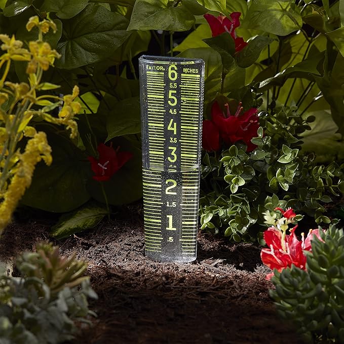 Taylor Glow-In-The-Dark Mountable Rain Gauge, Measure and Monitor Precipitation, Easy to Read for Backyard, Patio, Garden, and Lawn, 6-inch, Black and Green