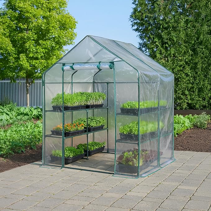 Miracle-GRO 4'8" x 4'8" x 6'5" Outdoor Mini Walk-in Greenhouse Plant Tent, All-Season Small Walk-in Plant Growth Accelerator with 8 Wire Shelves, Clear
