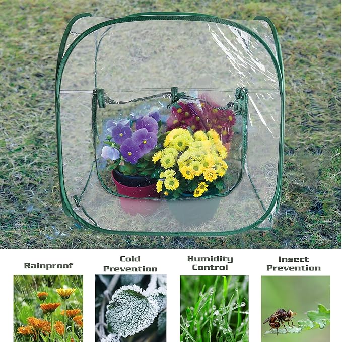 Medium Pop Up Greenhouse, Versatile Greenhouses for Outdoors or Indoor Greenhouse.