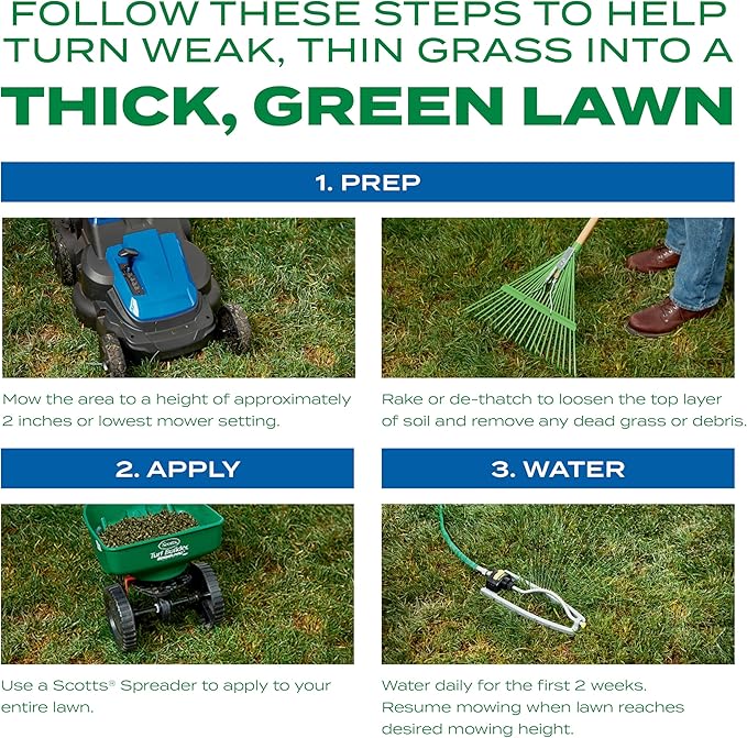 Scotts Turf Builder Thick'R Lawn Sun and Shade, Combination Seed, Fertilizer and Soil Improver, Thickens Thin Grass, 12 lbs.