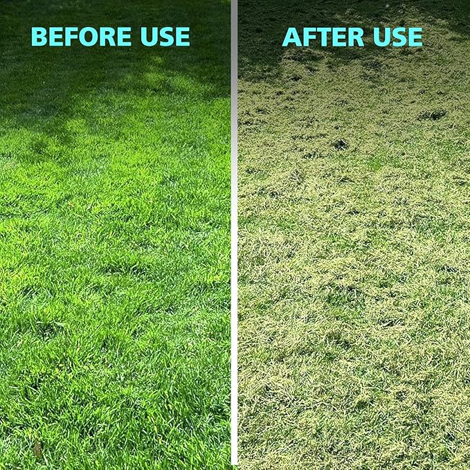 16-Inch 15-Amp 2-in-1 Electric Dethatcher and Lawn Scarifier with 14.5-Gallon Collection Bag, 5-Position Depth Adjustment, Lawn Care Machine for Thatch Removal and Grass Revitalization - XSS16D