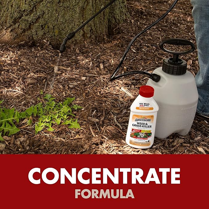 Spectracide Weed And Grass Killer Concentrate 16 Ounces, Use On Patios, Walkways And Driveways