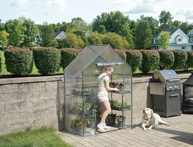 Miracle-Gro 4'8" x 29" x 6'5" All-Season Mini Walk-in Greenhouse with 4 Wire Shelves for Outdoors, Easy-Access and Durable, Translucent