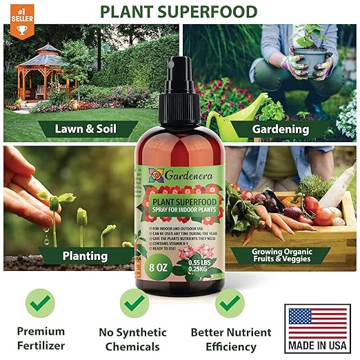ππππππππππ Plant Superfood for ALBO VARIEGATA Plants with B1 Vitamin, Glucose and Essential Minerals - Organic Plant Food Fertilizer for Indoor & Outdoor ALBO VARIEGATA - 8oz