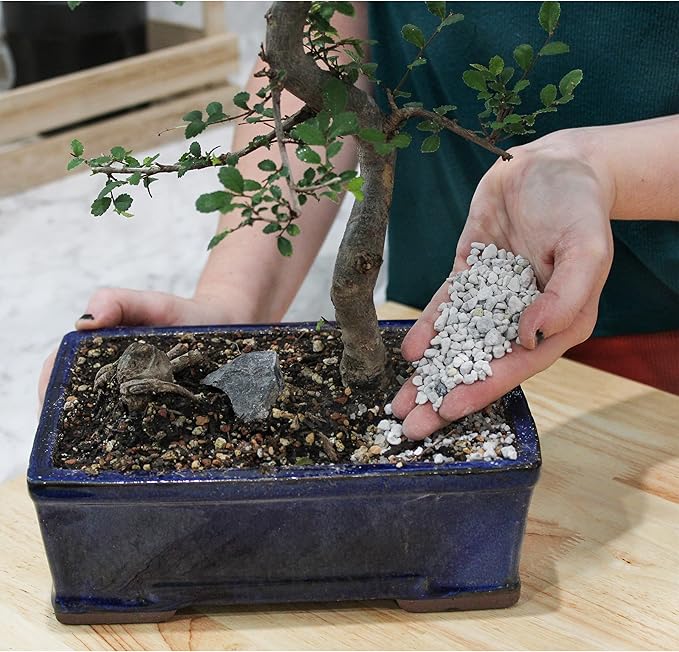 Horticultural Bonsai Pumice Soil Amendment (2 LB), Supplement for Bonsai and Cactus Indoor Plants