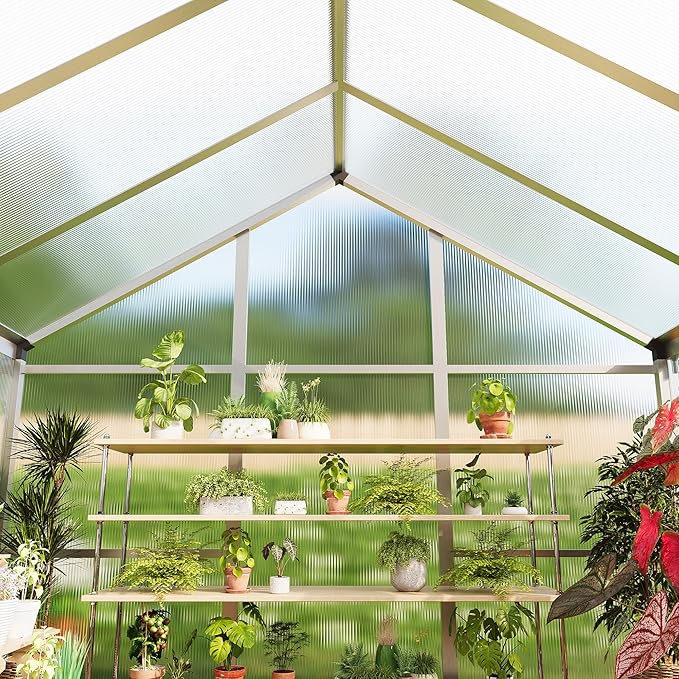 6x6 FT Greenhouse for Outdoors, Polycarbonate Greenhouse with Roof Vent, Ground Nails, Lockable Push Door, Aluminum Large Walk-in Green House for Outside Garden Backyard, Patio, Lawn, Silver