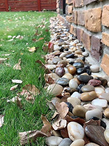 20 lbs Large River Rocks for Landscaping, 2-3 inch Polished Pebbles for Plants. Decorative Rocks for Plants Vase Aquarium Fish Tank and Garden Paving Rocks