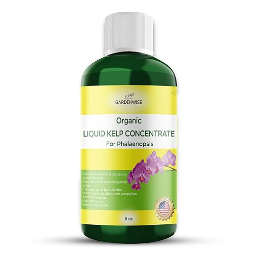 Organic Premium Kelp Seaweed Concentrate: Fertilizer for Phalaenopsis Orchids – Liquid Plant Fertilizer – Orchid Bloom Booster – Seaweed Extract for Plants (8 OZ)
