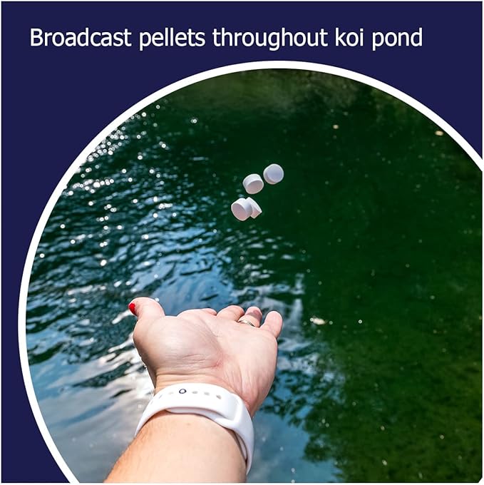 Muck Remover GP - 150 Pellets | Koi Pond Sludge Remover | Safe for Fish | Treats 5,000 Gallons up to 5 Months