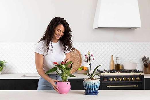 rePotme Slow Release Indoor Plant Food | Feed ME! Houseplant Time Release Fertilizer (18-6-8) | Feeds Your Plants Automatically