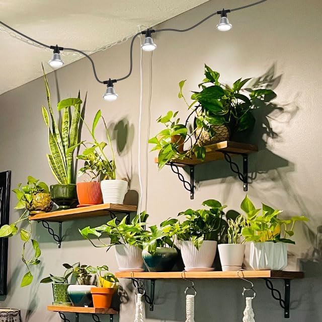 SANSI Outdoor LED Grow Lights,IP65 Waterproof String Grow Light,Full Spectrum 6-Light 72W Upgraded Optical Lens with 22Ft Cord for Veg Seedling,Flower,Greenhouse Indoor or Outdoor