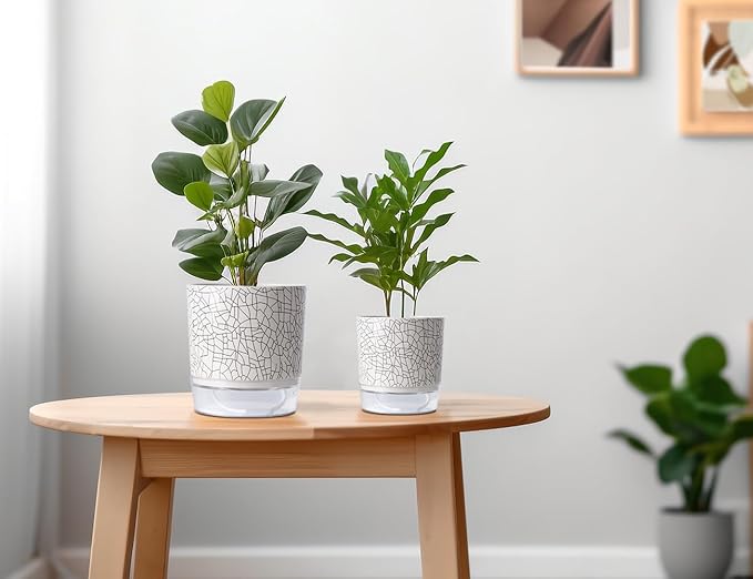 Self Watering Pots for Indoor Plants, 5 & 4 Inch Stylish Flower Pots, Set of 4 Modern Planters with Self Watering Plant Feature (Crack Texture)