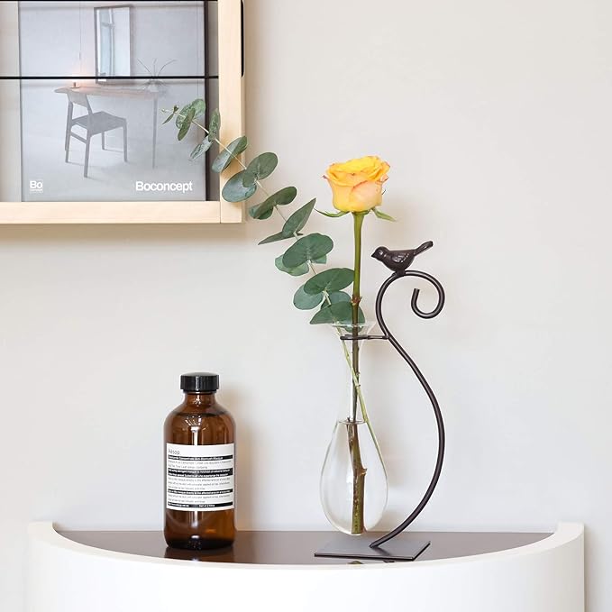 Marbrasse Desktop Glass Planter Hydroponics Vase,Planter Bulb Vase with Holder for Home Decoration,Modern Creative Bird Plant Terrarium Stand, Scindapsus Container (Water Drop Vase)