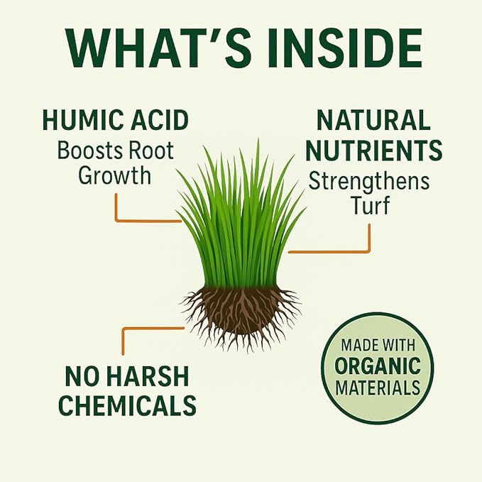 GS Plant Food Green Envy Liquid Lawn Food - Summer-Ready Organic Fertilizer for Heat-Stressed Lawns, All Grass Types (1 Gallon)